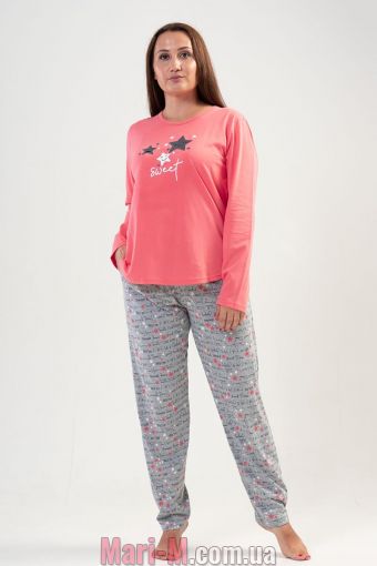  -   204179 Vienetta ( ) Vienetta     