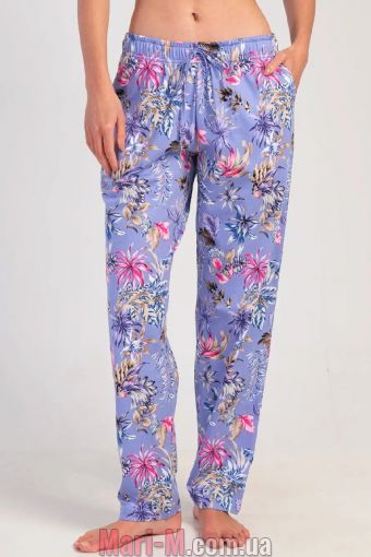  -      311004 Vienetta Vienetta     