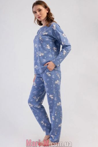  -   411006 Vienetta Vienetta     