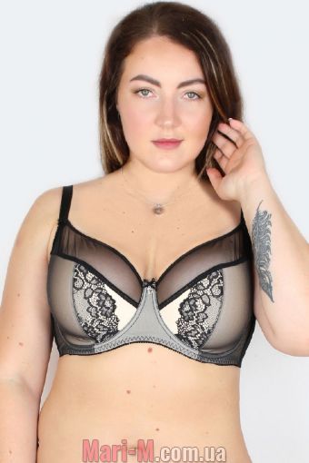  -     50210 LaVivas ( ) Lavivas     