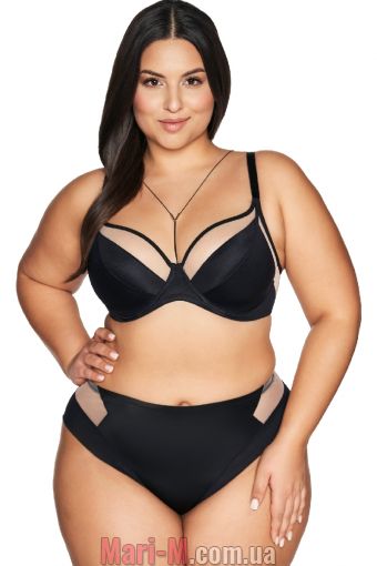  -     AV2136 Maxi Viva Ava Ava     