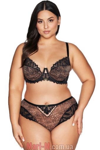  -    AV 2132/B Wild Ava Ava     