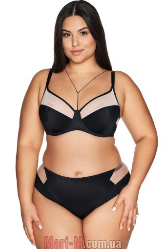  -     AV 2135 Viva Ava Ava     