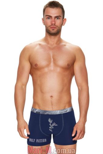  -     17/1-19/E223 Long Fabio Fabio     