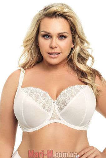  -     K-425 Casablanca Gorsenia ( ) Gorsenia     