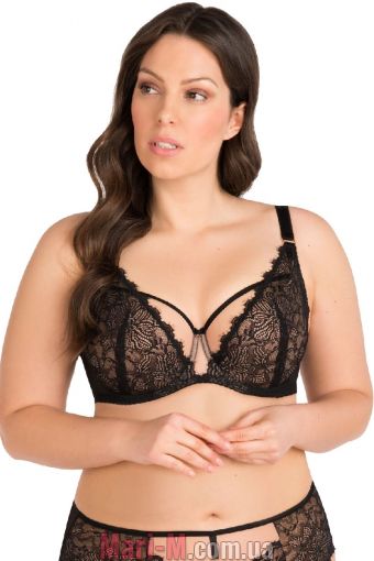  -    -813 Noelle Gorsenia Gorsenia     