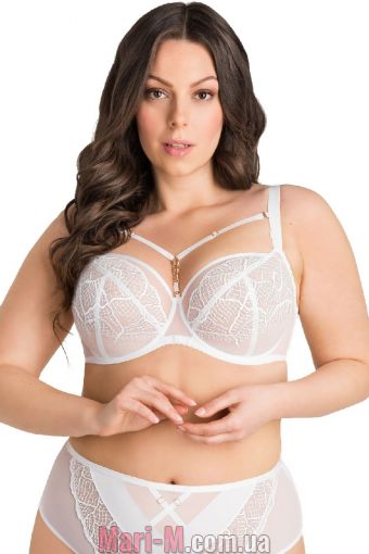  -     -849 Forever Gorsenia Gorsenia     