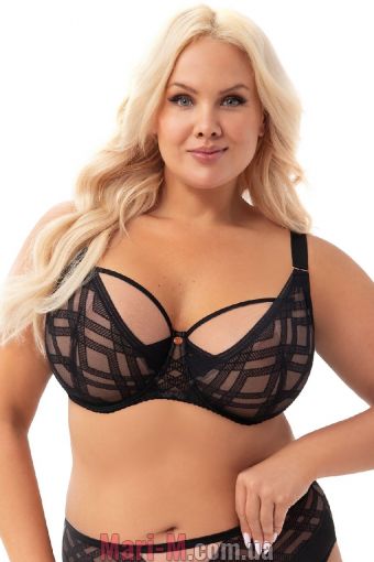  -    K-897 Estelle Gorsenia ( ) Gorsenia     