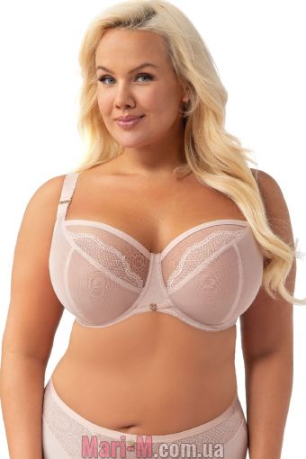  -     K-900 Ida Gorsenia ( ) Gorsenia     