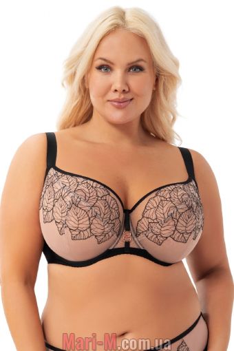  -      -924 Palmira Gorsenia Gorsenia     