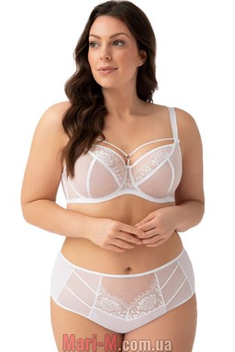  -    -497/1 Paradise Gorsenia ( ) Gorsenia     