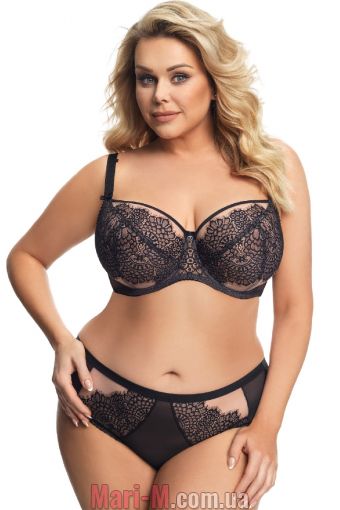  -     -678 Ravena/Ravenna Gorsenia Gorsenia     