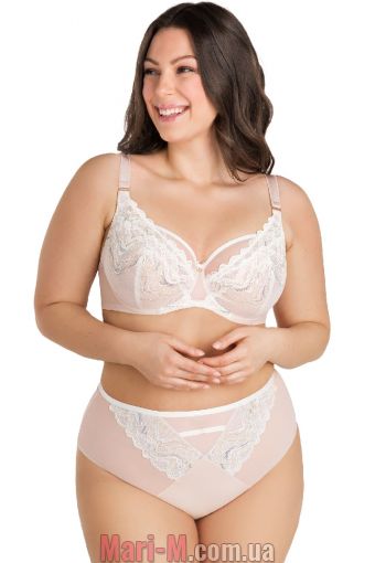  -      -865 Marble Gorsenia Gorsenia     