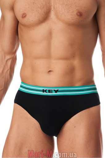  -    MPP 137 A23 Key (  2- )   Key     