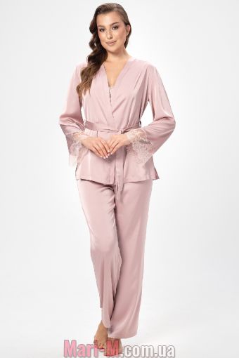  -  -   2504 Shato ( ) Shato     