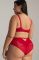 Красный мягкий кружевной бюстгальтер AV1824/1 Maxi Venus Ava Ava- интернет магазин нижнего белья Mari-M Фото - Красный мягкий кружевной бюстгальтер AV1824/1 Maxi Venus Ava Ava купить в Киеве и Украине