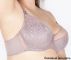  -       50282 LaVivas ( ) Lavivas     