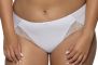  -    AV2110/B Azalea Ava ( ) Ava     