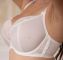  -     K-425 Casablanca Gorsenia ( ) Gorsenia     