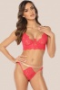 Кружевные бразилианы B-1047/3 Sweet Ana Kinga Kinga- интернет магазин нижнего белья Mari-M Фото - Кружевные бразилианы B-1047/3 Sweet Ana Kinga Kinga купить в Киеве и Украине