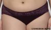  -     2412 Elita ( ) Elita     