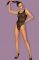  -  - B127 Bodystocking Obsessive Obsessive     